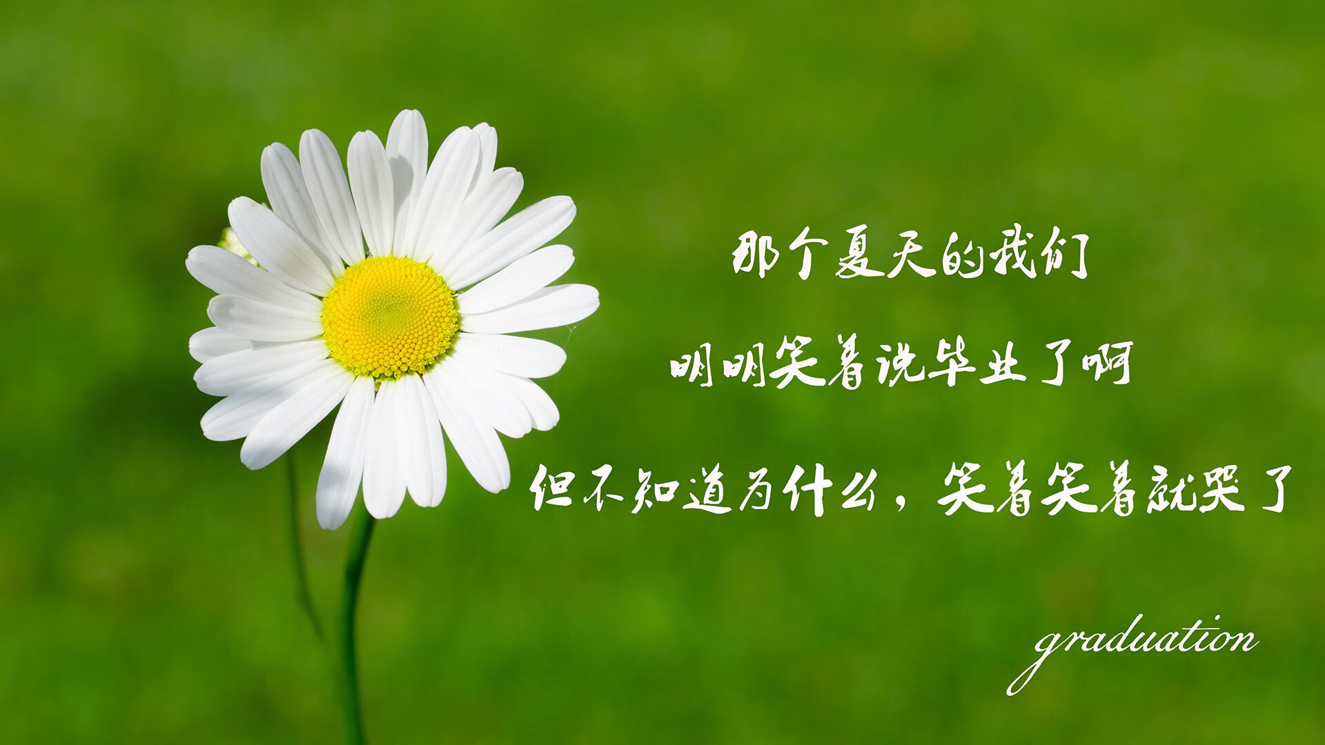 综艺与电竞结合：创新内容模式，打造多层次娱乐体验，电竞节目综艺
