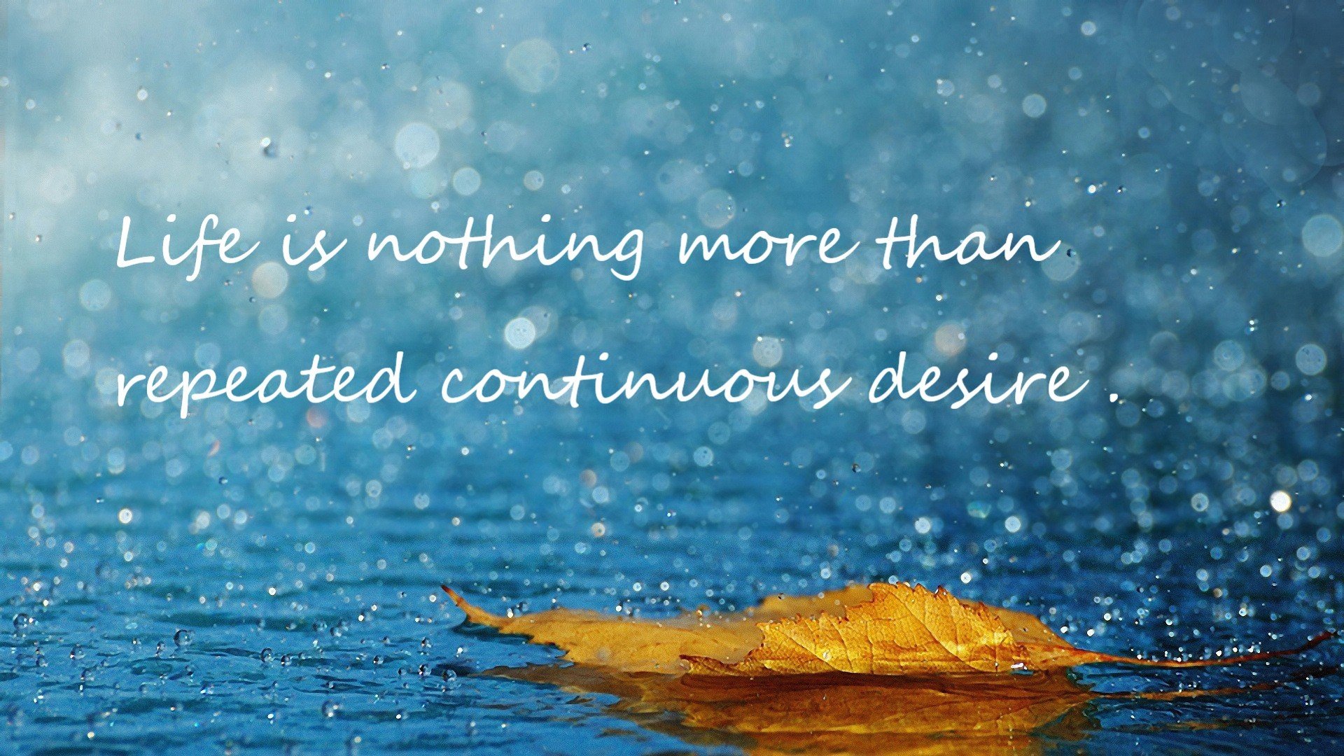 澳大利亚对决保加利亚，欧洲杯赛场炙热进行，澳大利亚和意大利比赛