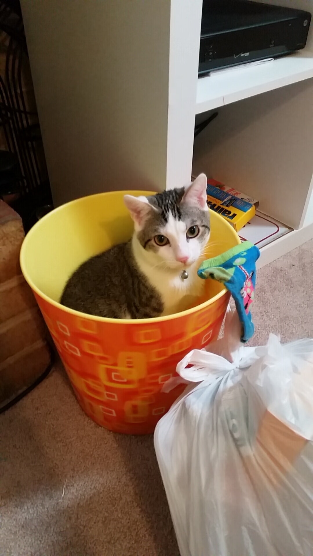 电竞主播内容创作与粉丝互动策略分享,电竞主播的工作内容