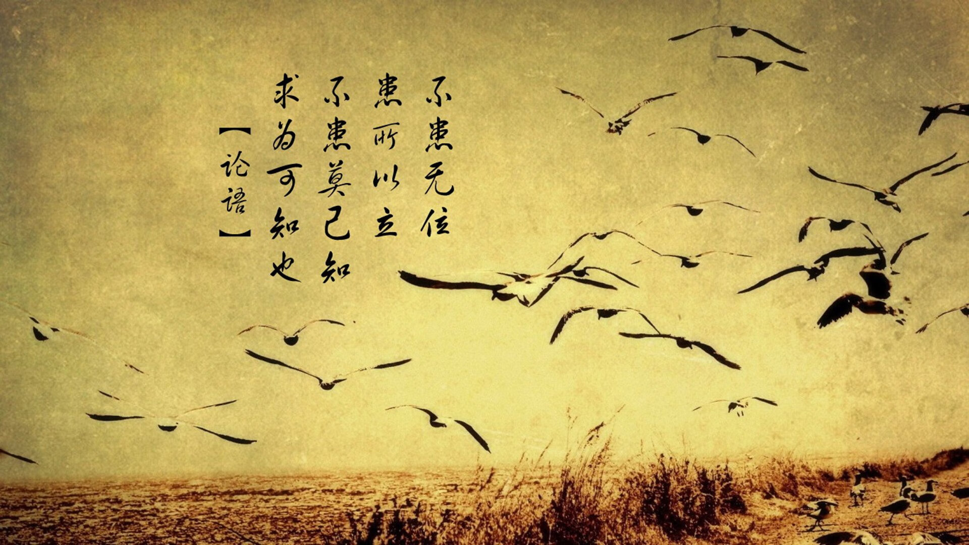 随机美国马术协会与学校合作，开展马术教育课程，推广马术文化。，美国马术俱乐部