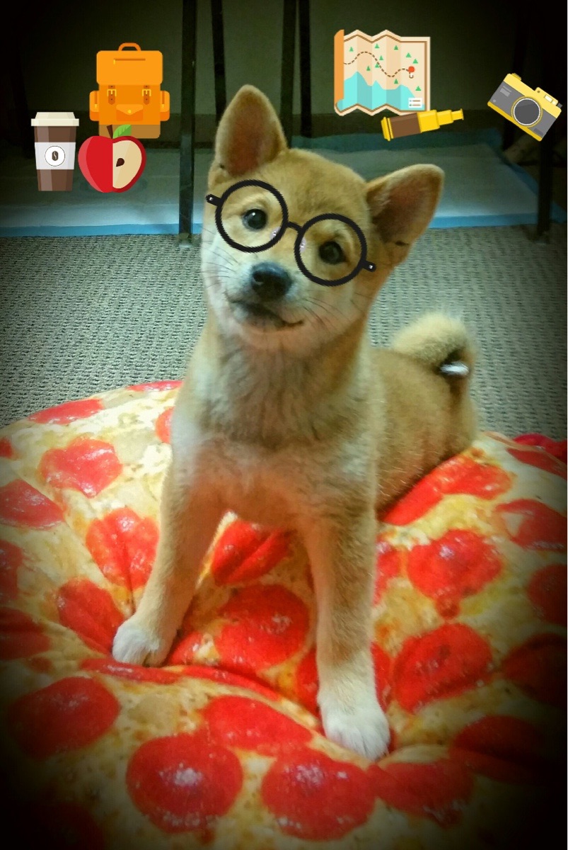 五大联赛转会窗最新动态:豪门补强势不可挡,五大联赛转会名单