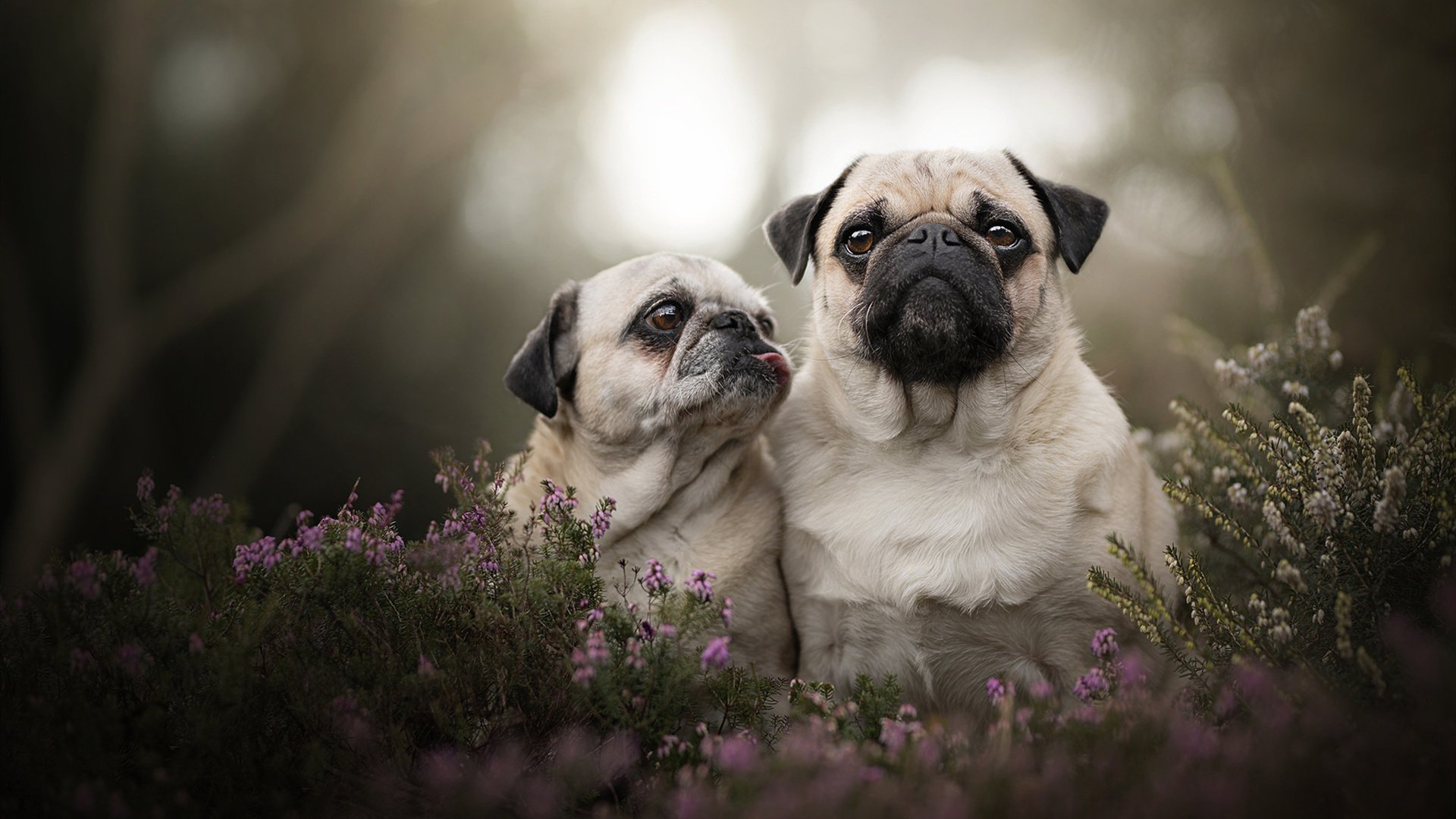 中国足球国家队体能训练方案不断优化调整,中国足球国家队体能训练方案不断优化调整了