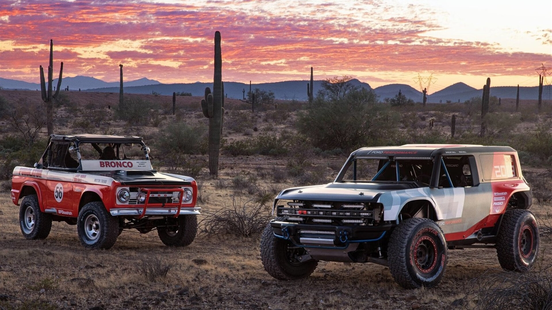 南非男泳将破百米自由泳全国纪录,南非男泳将破百米自由泳全国纪录是多少