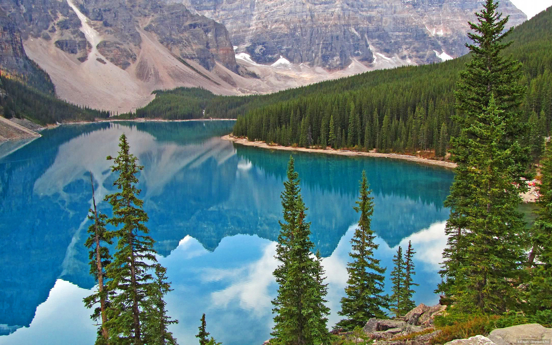 巴西国家队主力受伤,无缘本届美洲杯,巴西队 美洲杯 名单