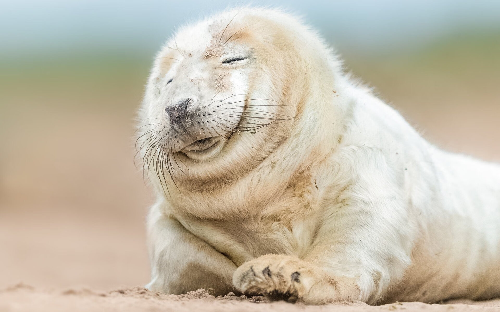 德甲黑马崛起:惊喜不断引发热议,德甲综述