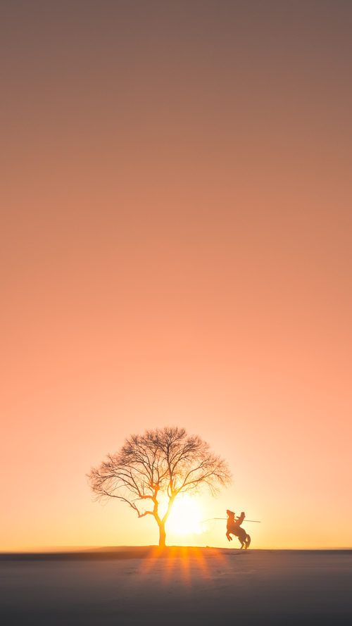 科斯决赛发挥稳定成大赢家,科科斯卡