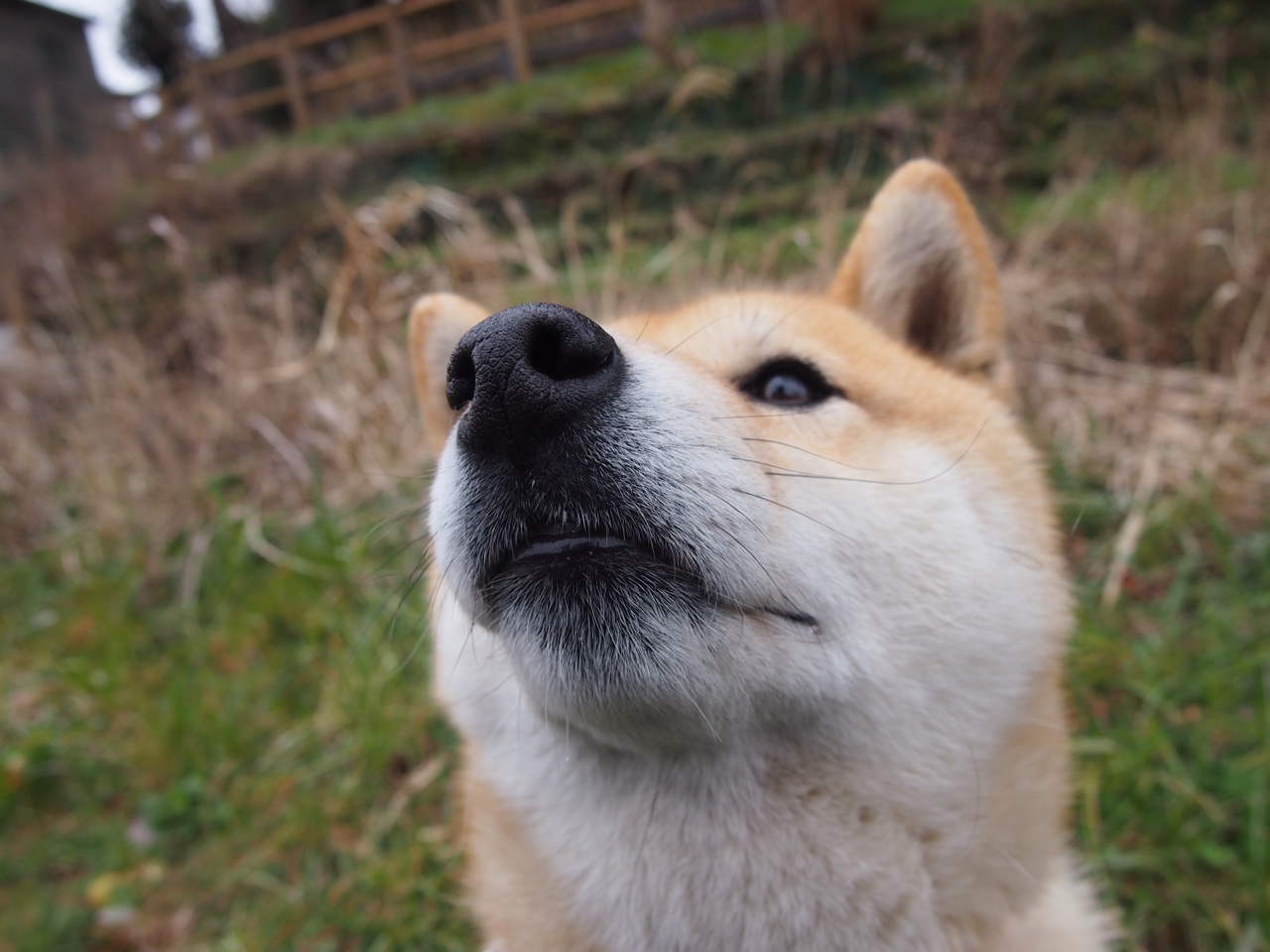 九游下载安装-美洲杯超级对决：明星点燃激情，竞技水平一流，美洲杯决赛剪辑