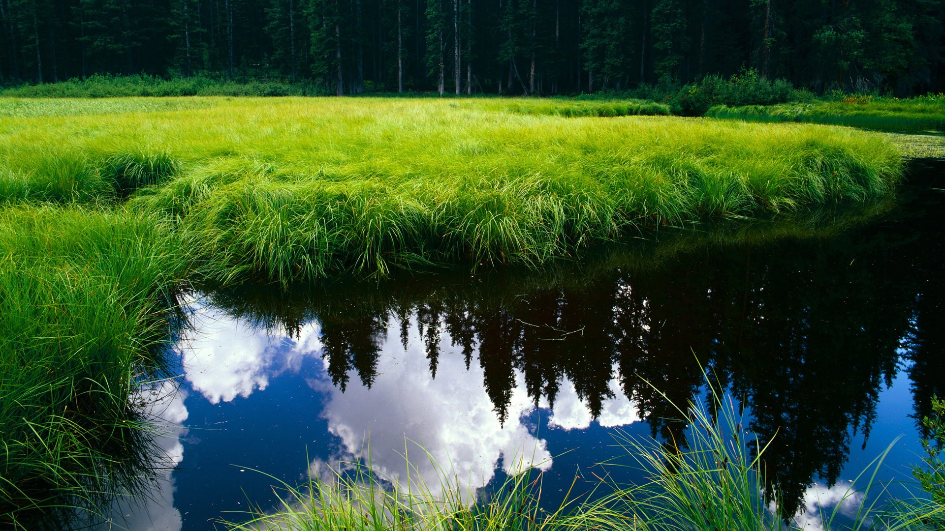 詹姆斯告别赛场NBA总决赛,詹姆斯现场观战nba总决赛
