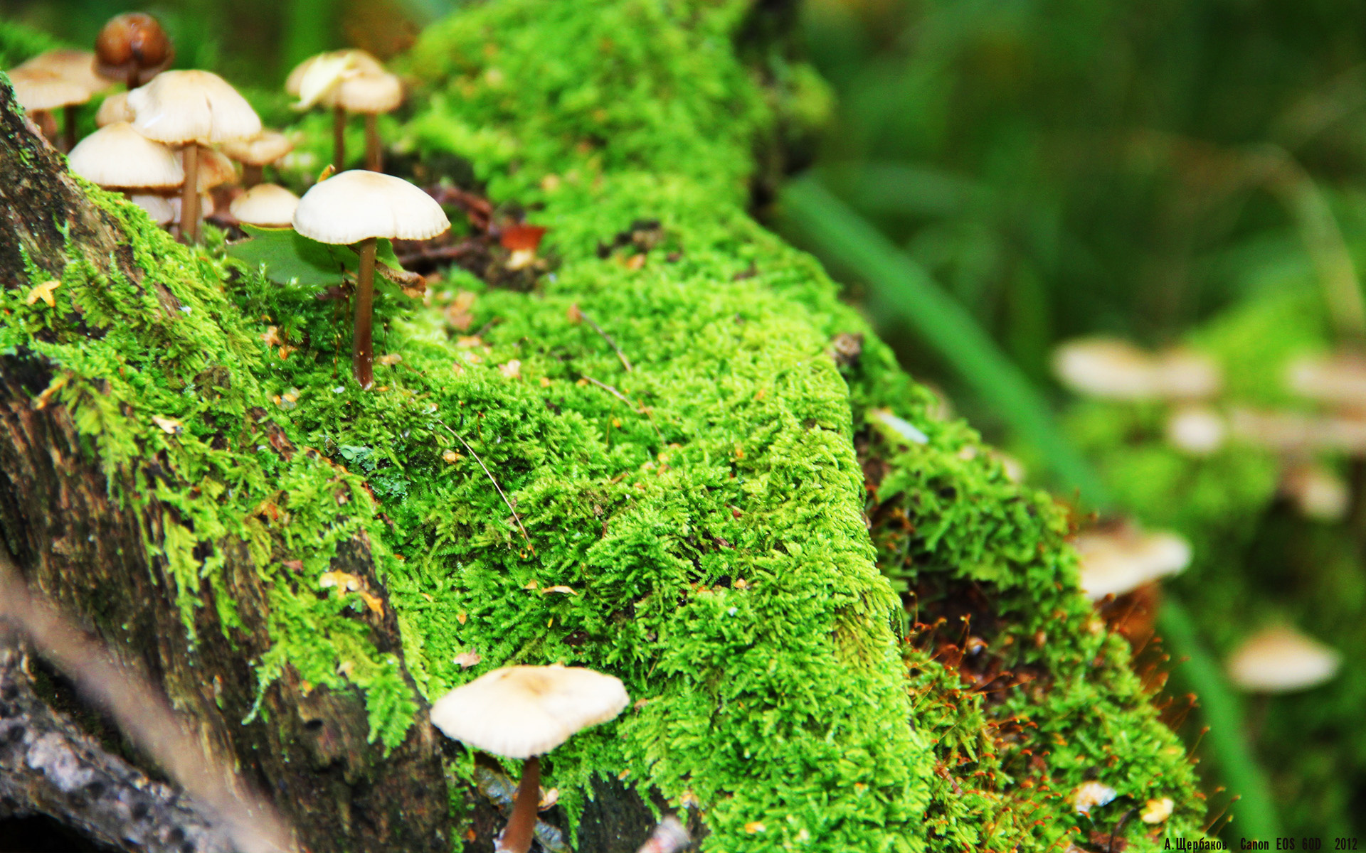 九游APP官网-高校篮球联赛增加赛事直播覆盖扩大影响力，高校篮球联赛策划